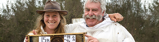 Protecting our bees – and a  billion industry