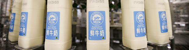 Chinese consumers thirsty for fresh Aussie milk