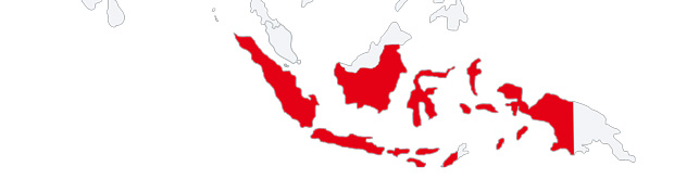 Engaging with Indonesia