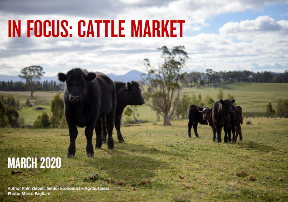 In Focus: Beef – March 2020