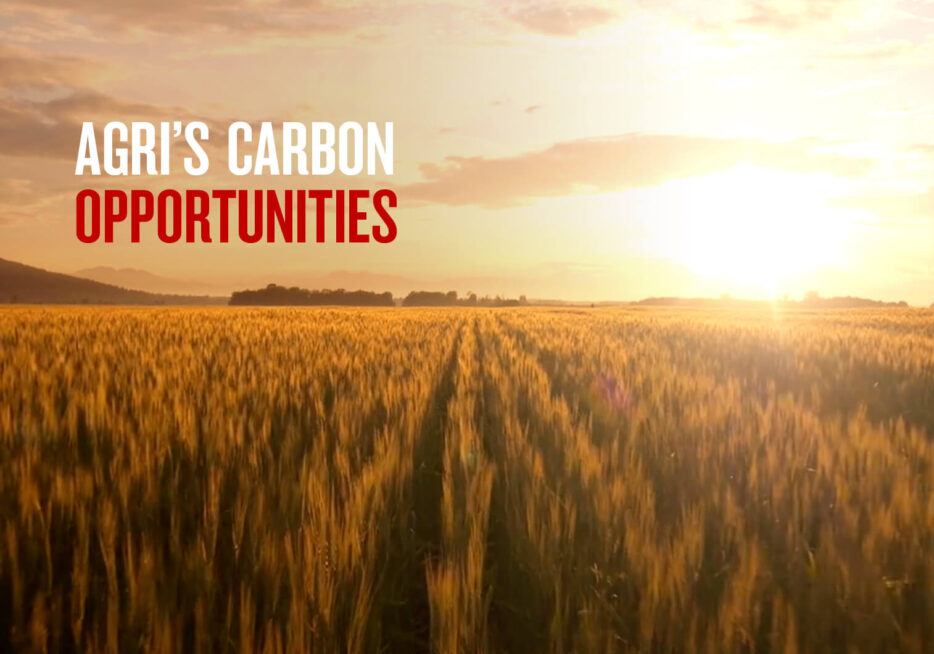 Farming looks to a carbon cash future