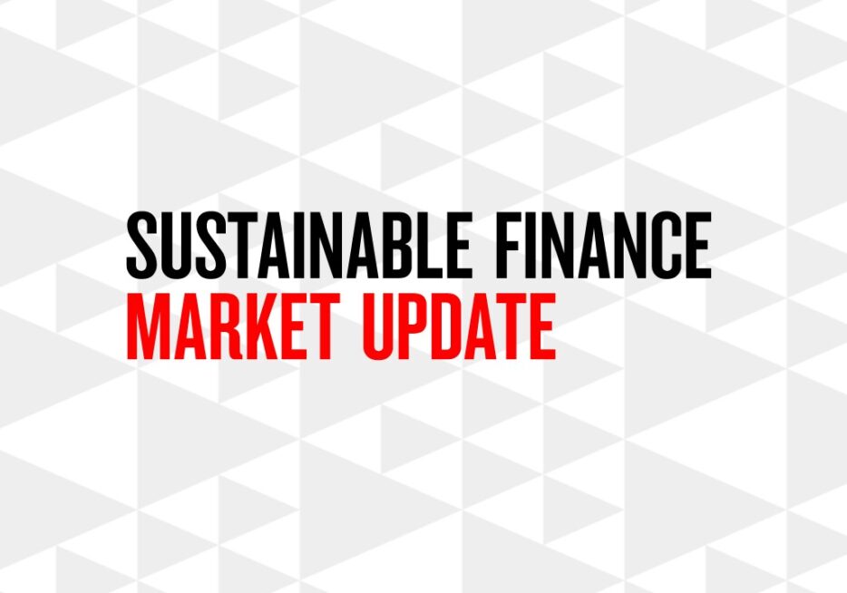 Sustainable finance update: August 2020