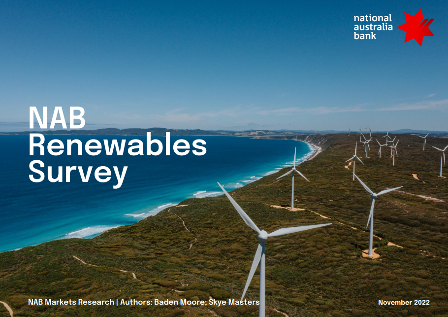 NAB’s Renewables Survey November 2022