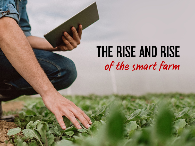 High-tech farming: the changing face of agtech Down Under