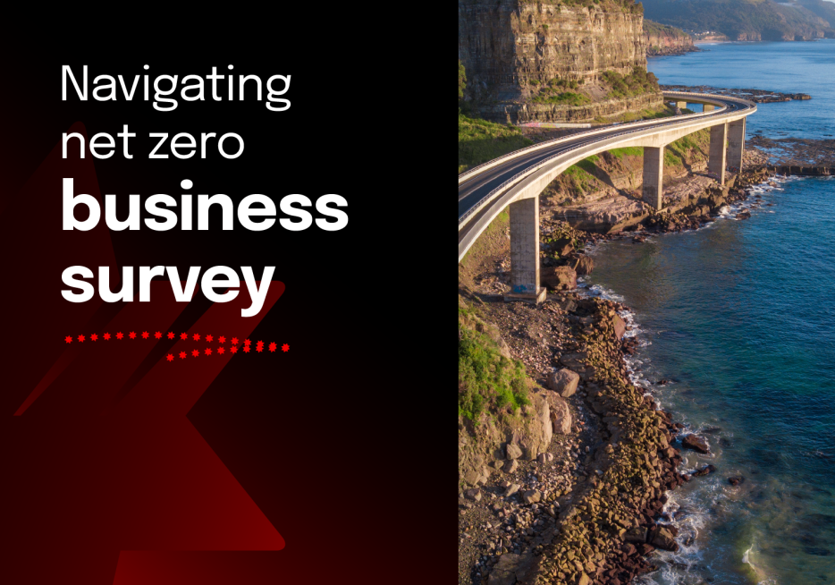 Navigating net zero – business survey 2023