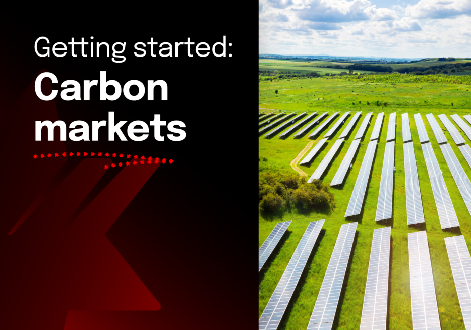 Navigating carbon markets for net zero