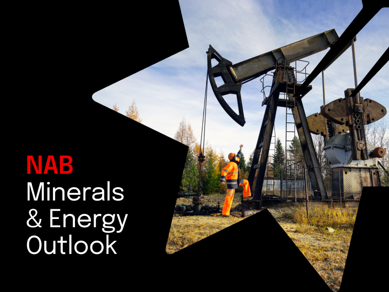 Minerals & Energy Outlook: May 2024