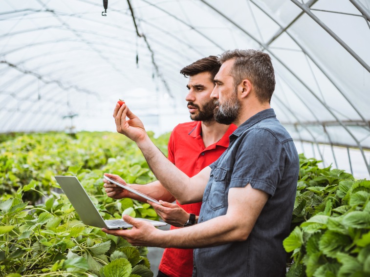 Investing in Agriculture