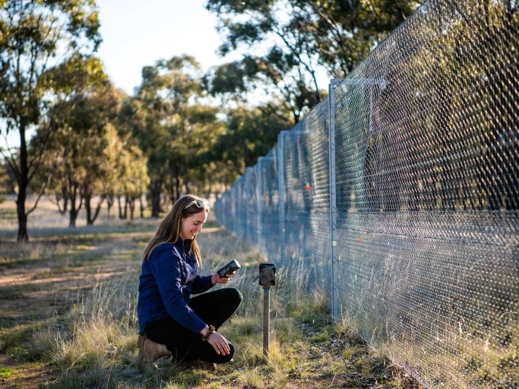 Innovative Ag Fund shows how biodiversity can add to the bottom line